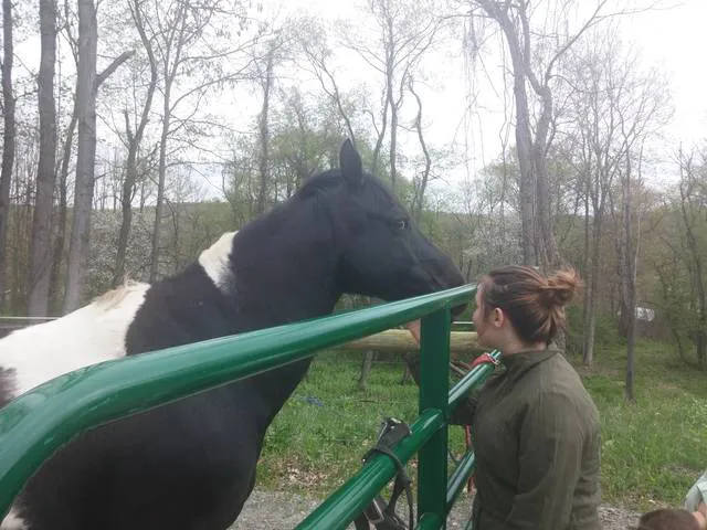 Woman standing outside green corral fence petting a horse that is black with some white spots.